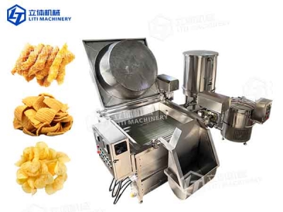 Professional Gas-fired Deep Fryer for Processing Foods Such As Fried Chicken and French Fries.